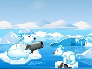 Play Bear Fishing Game Online