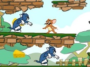 Play Jerry Steal Cheese Game Online